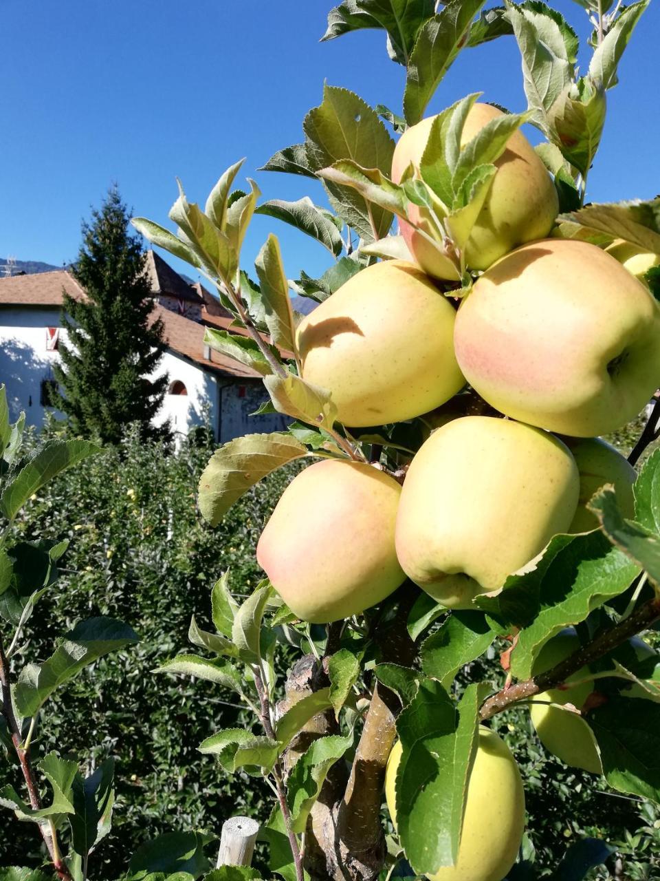 Agritur Ciastel Villa Sanzeno Kültér fotó